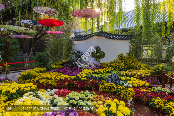 濟(jì)南趵突泉菊展093