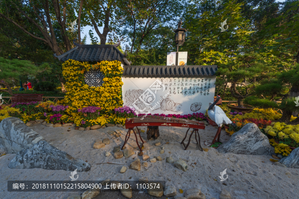 濟(jì)南趵突泉菊展101