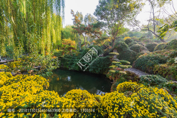 濟南趵突泉菊展114
