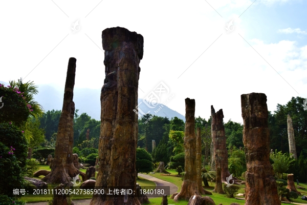 化石