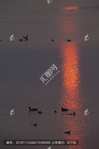 日出