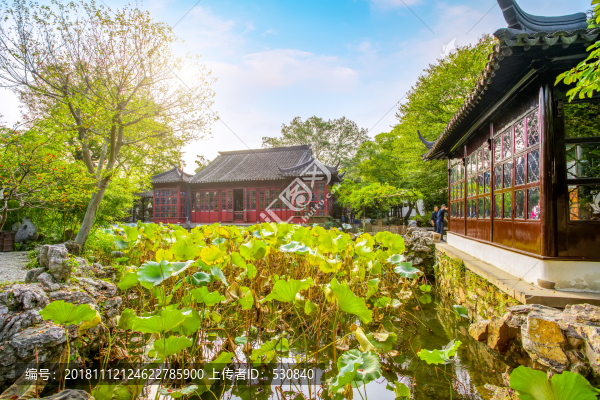 蘇州拙政園園林景觀