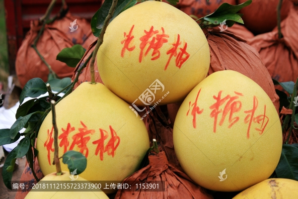 冰糖柚子