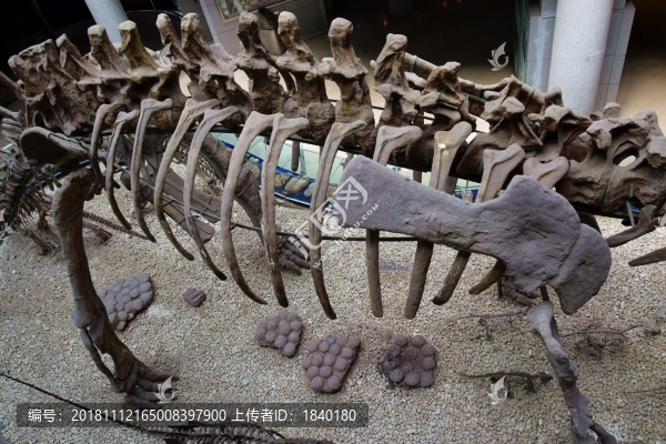 侏羅紀(jì)