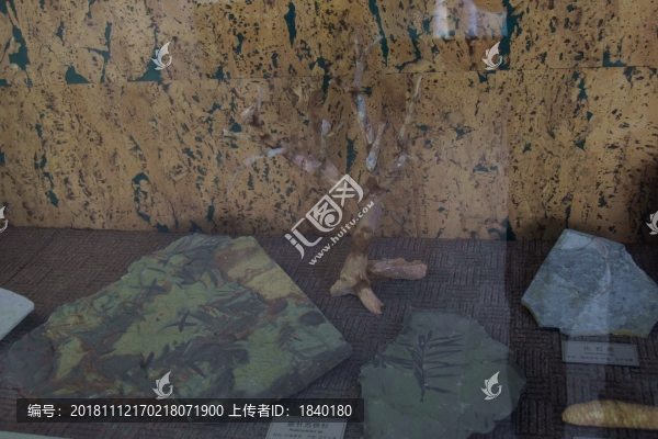 博物館