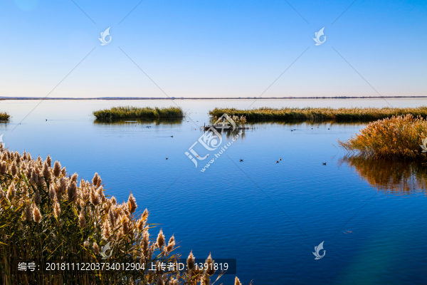 額濟納居延海