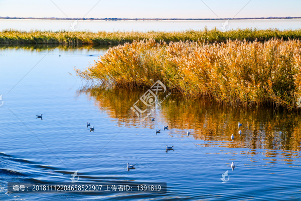 額濟(jì)納居延海