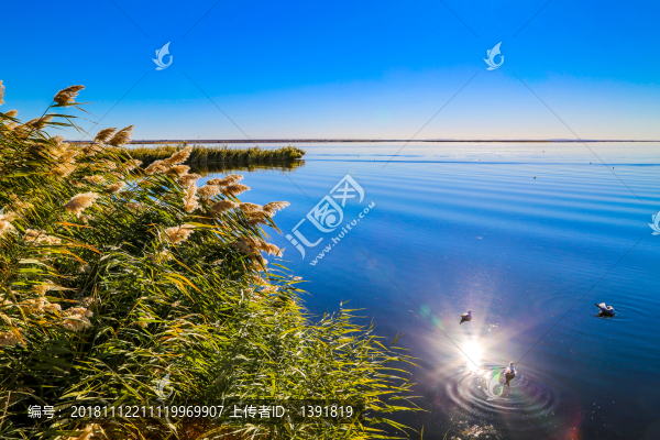 額濟納居延海