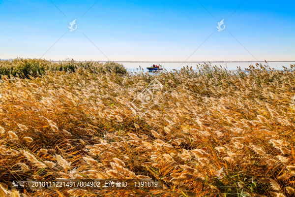 額濟納居延海