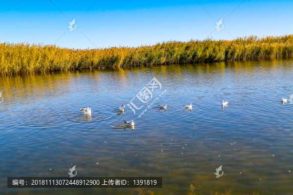 額濟(jì)納居延海