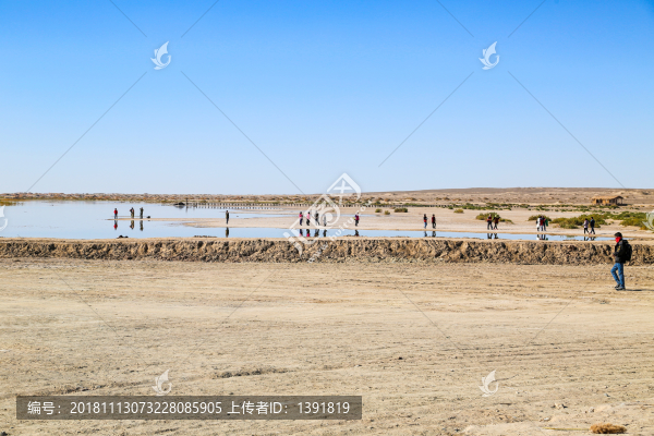 額濟納居延海