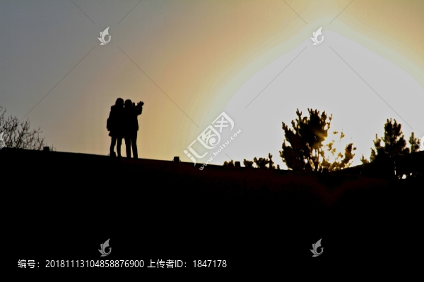 夕陽美女小樹