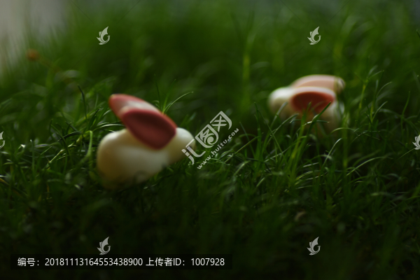 綠草和小兔