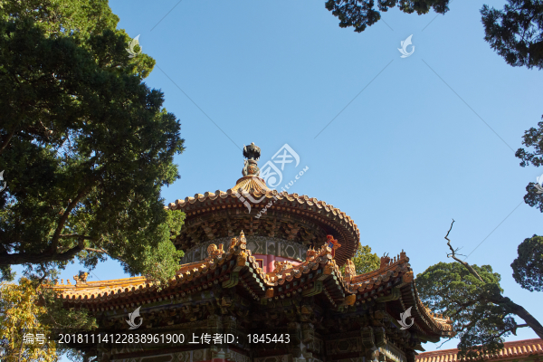 故宮御花園