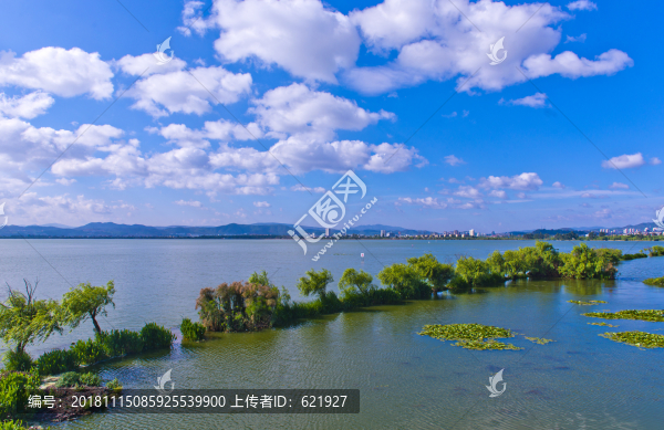 滇池濕地