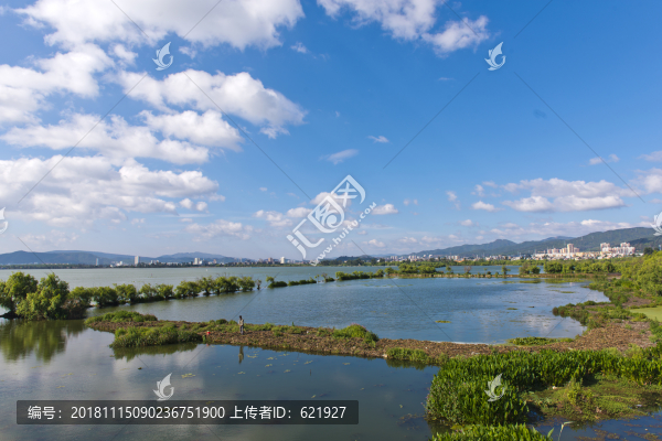 滇池濕地