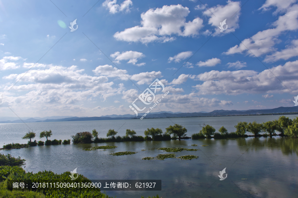 滇池濕地