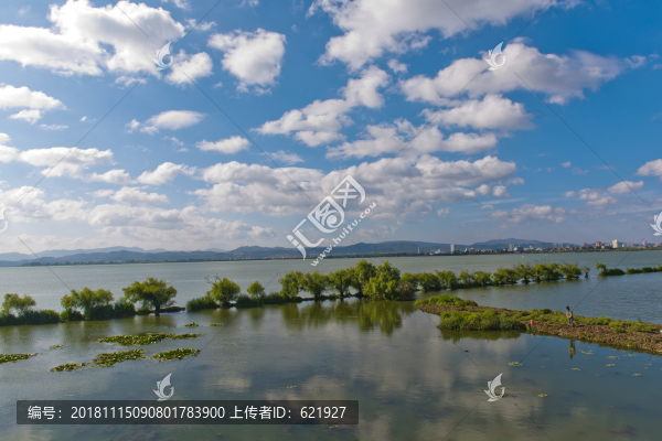 滇池濕地