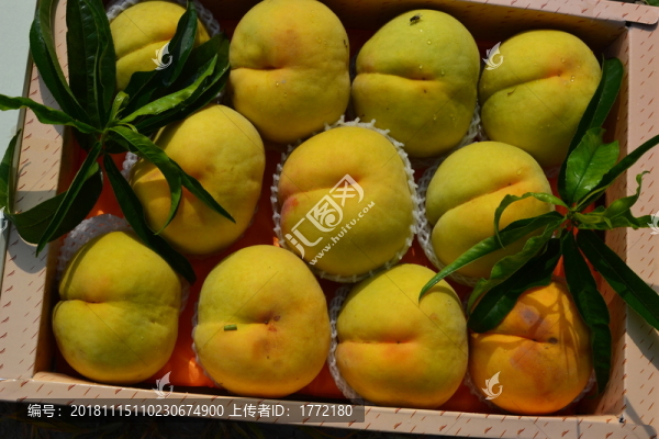 新鮮黃桃精品攝影圖