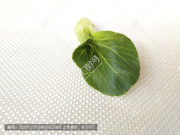 靜物菜心