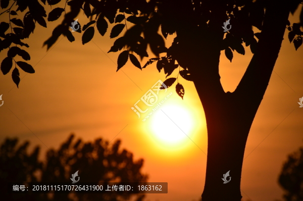 夕陽