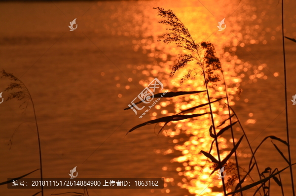 夕陽