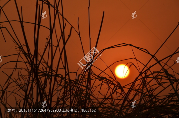 夕陽