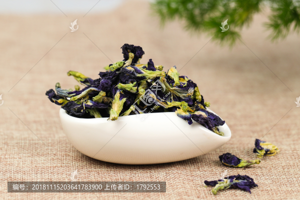 蝶豆花花茶