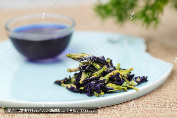 蝶豆花