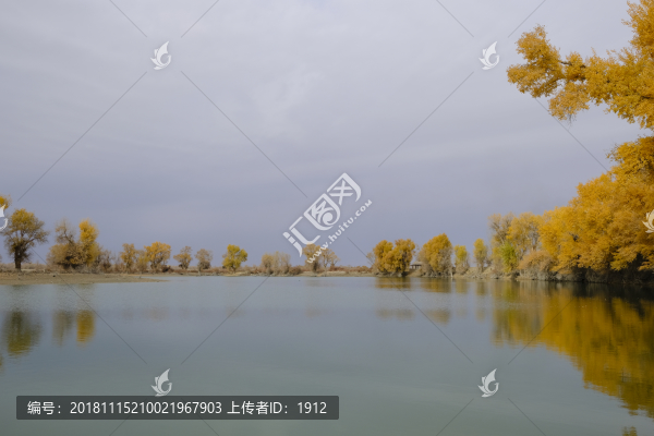 塔里木河