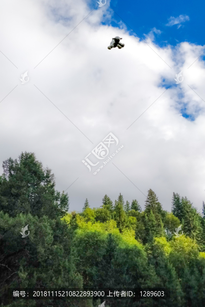 天空中飛翔的玩偶羊