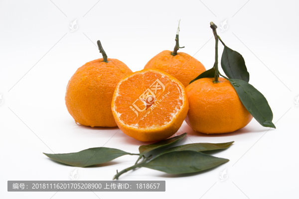 蜜桔