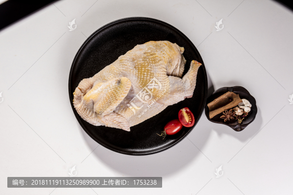 雞肉