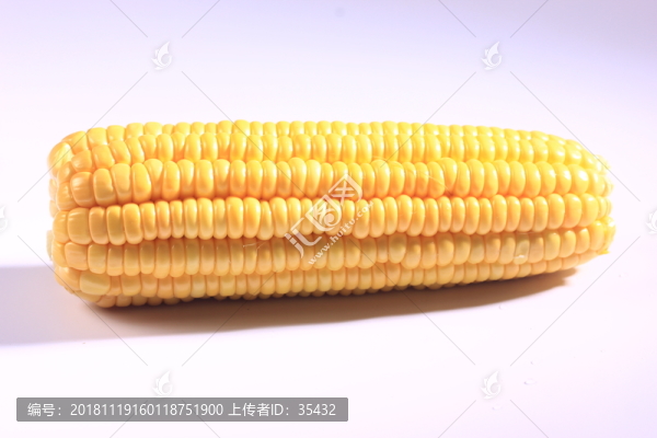 玉米素材