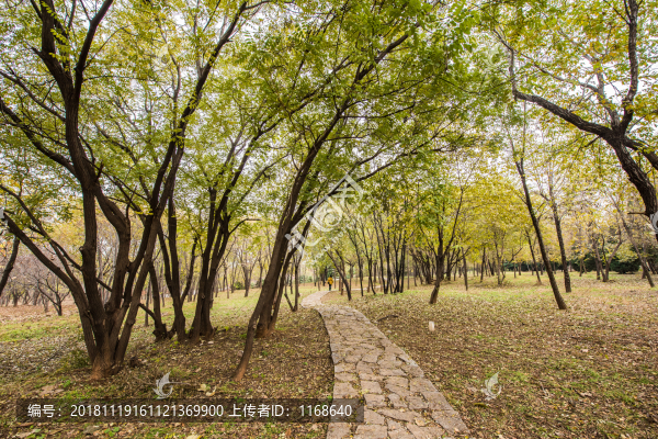 云門山森林公園