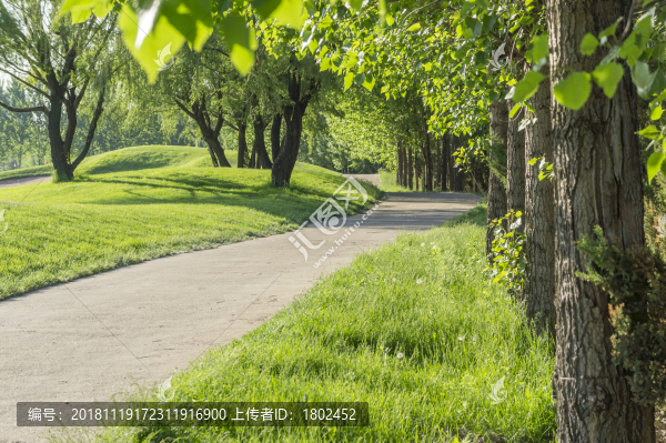 林間小路