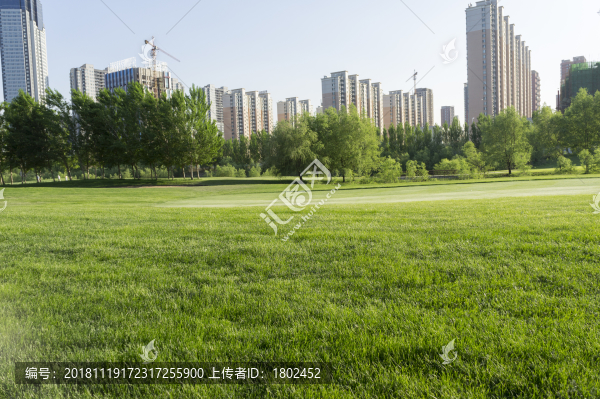 草坪住宅樓