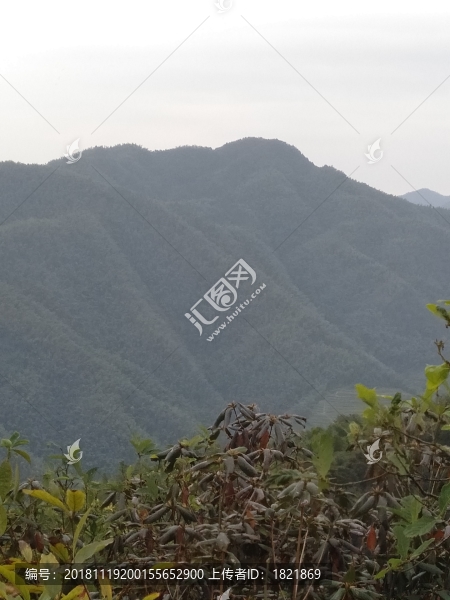遠山