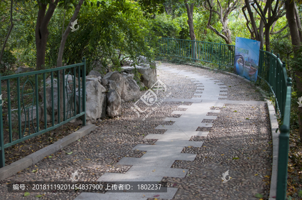 公園步道