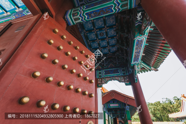 圓明新園6002