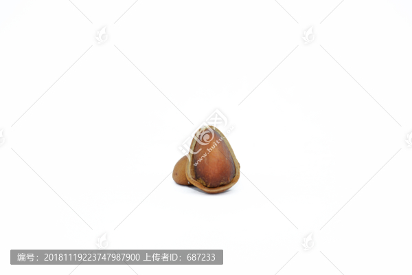 堅(jiān)果松子