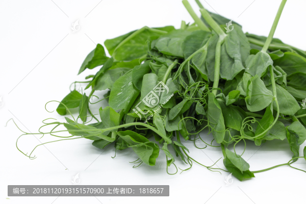 豌豆尖