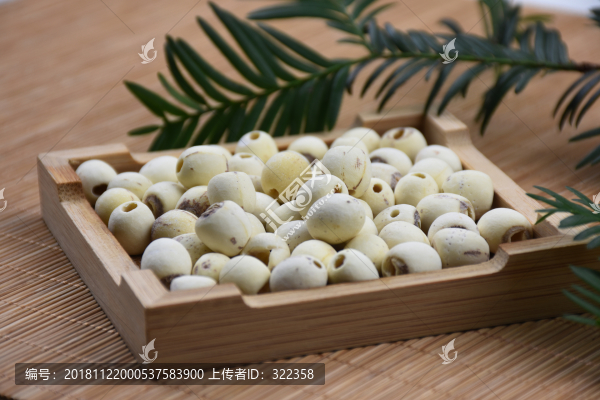 蓮子米特寫