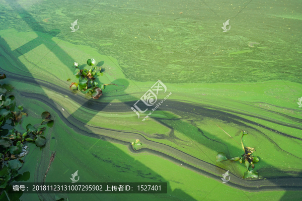 水質(zhì)污染