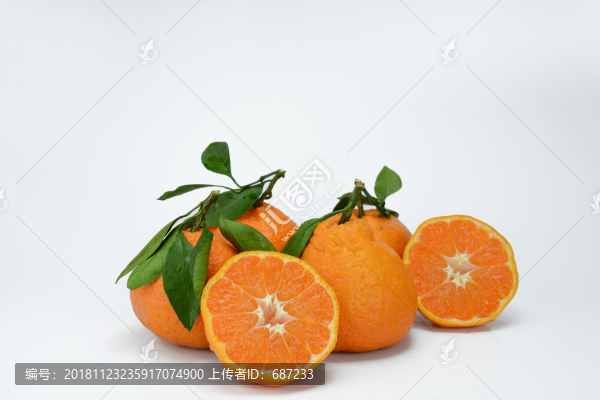 不知火橘