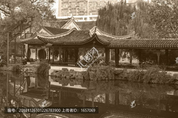 無錫城中公園老照片