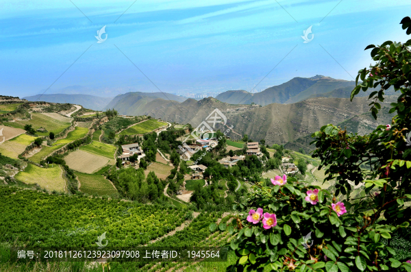 夏天景色
