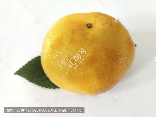 黃壤柿子