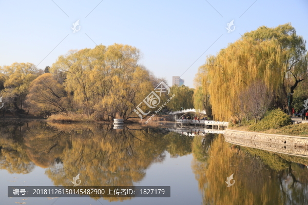 紫竹院公園