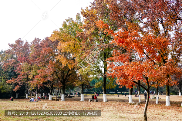 南京明孝陵景區(qū)